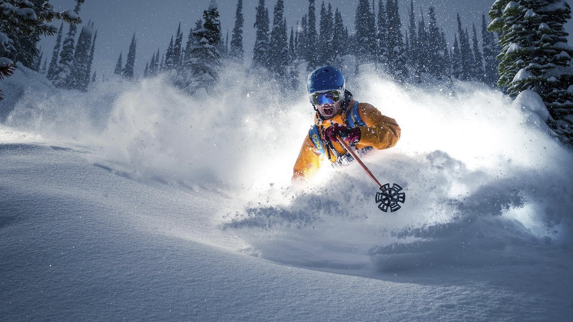 体坛速递,森林狼欧冠生死战,摩纳哥队长激励,拉齐奥主帅欧联复盘